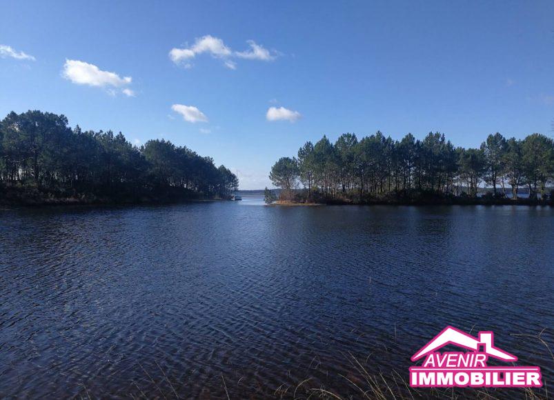 Agence immobilière à Lacanau et Le Avenir Immobilier