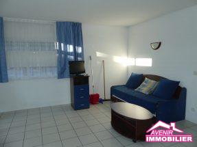 Salon de la maison à vendre, avec 2 chambres à Marina de Talaris, à Lacanau lac.